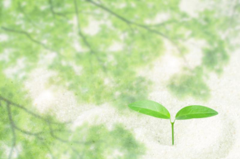 今、子どもたちは知りたいことに応えてくれる信頼できる大人を求めています。
幼児期からはじまる性の学び、子どもの疑問に答えよう！

講師：安達倭雅子［アダチワカコ］